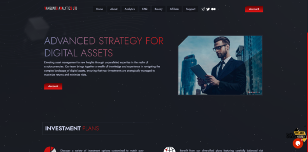 VANGUARD ANALYTICS LTD