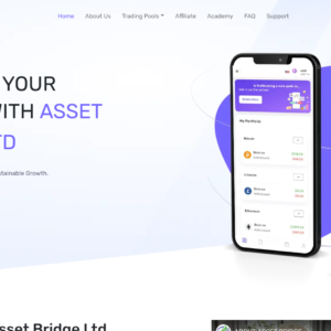 ASSET BRIDGE LTD